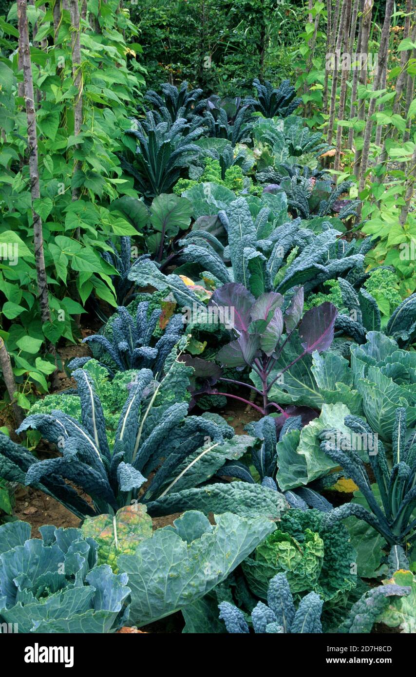 brassière le bourget