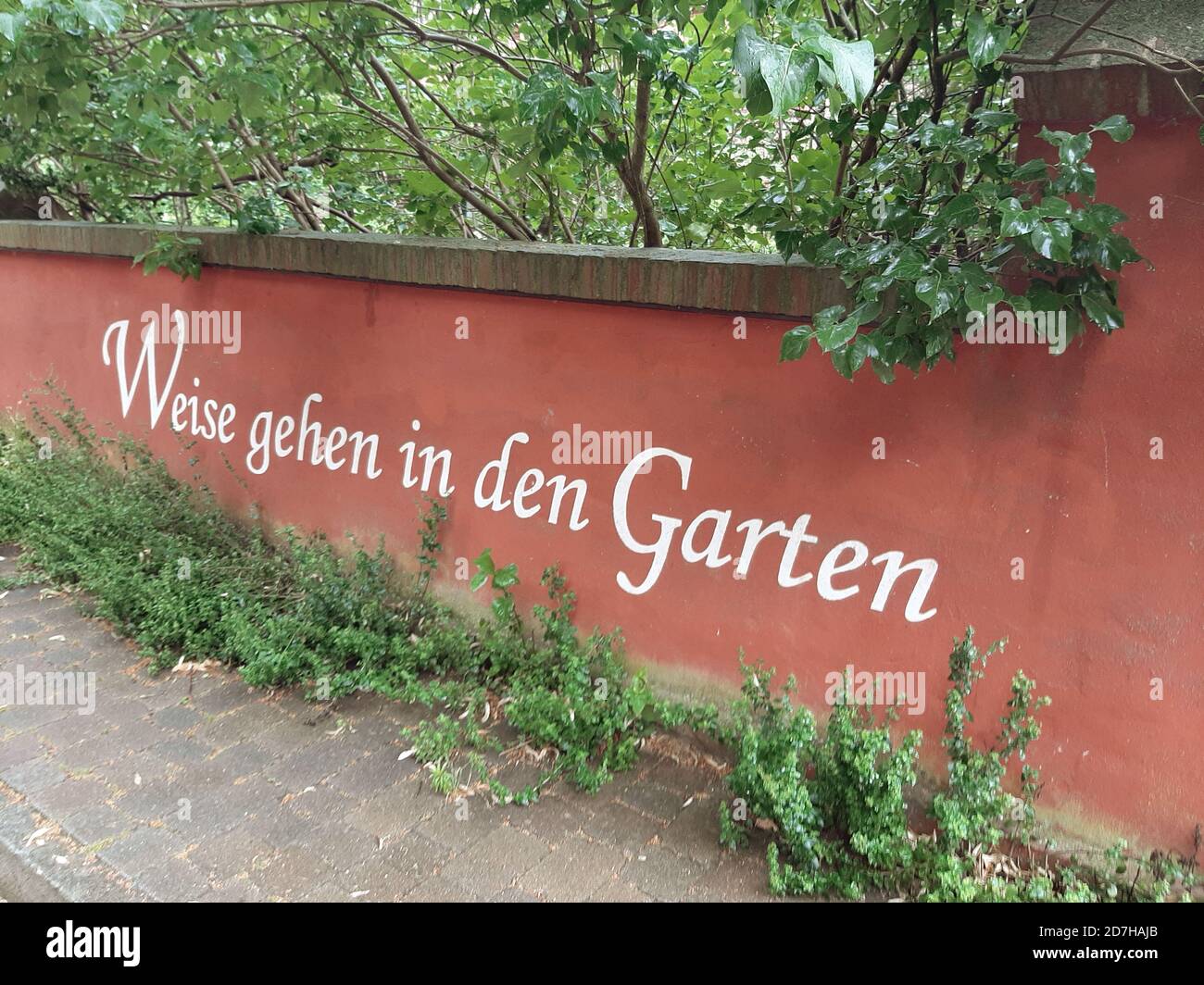 garden wall lettering Weise gehen in den Garten, wise man goes in the garden, Germany Stock Photo