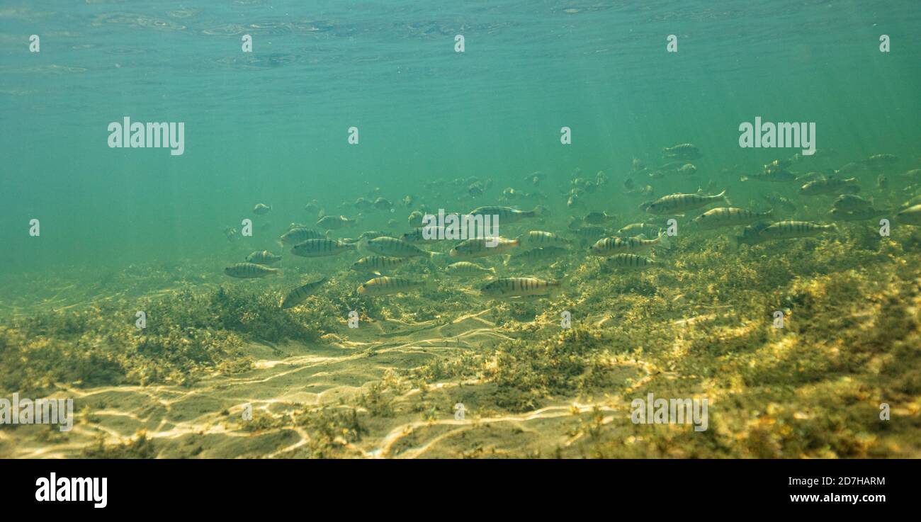 lake baikal bottom