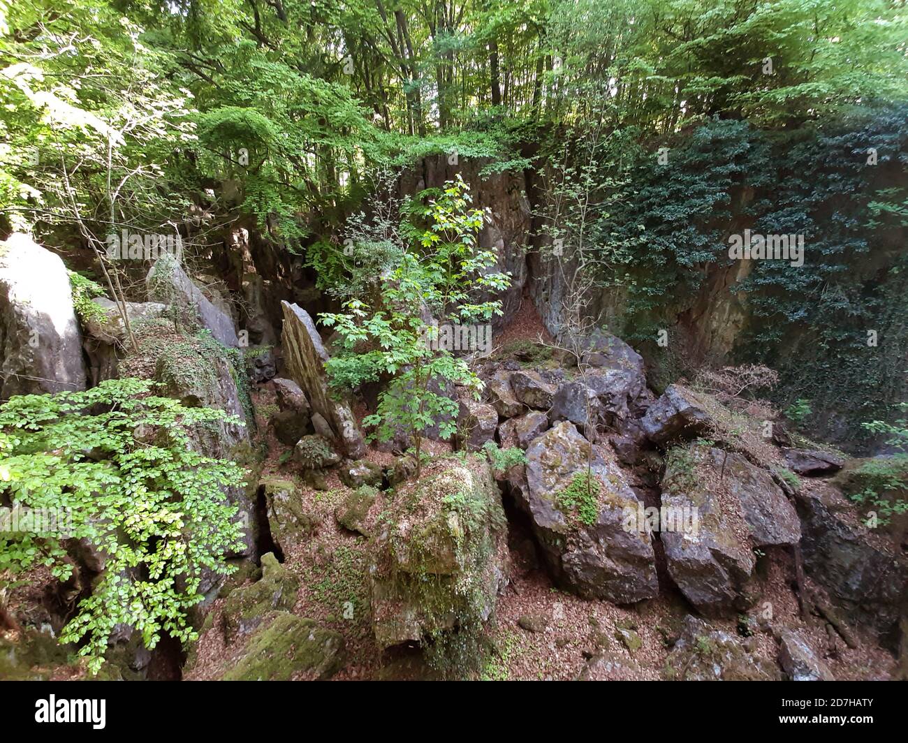 collapsed limestone cliffs in the sea of rocks, Devonian mass limestone
