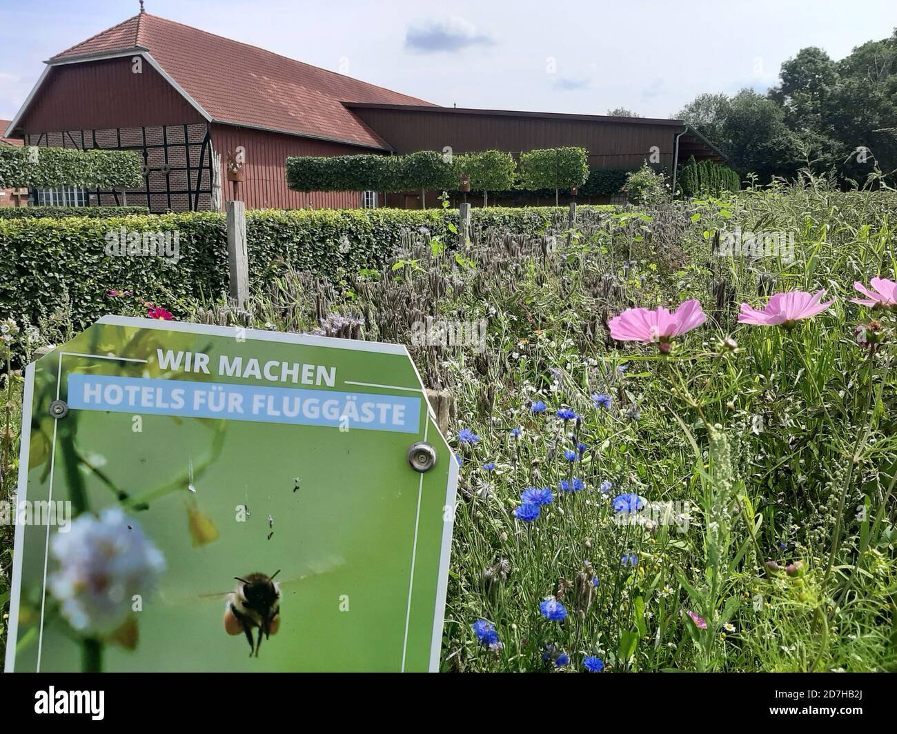 image campaign of a farmer, advertisement for planting nectar plants for insects, Germany Stock Photo