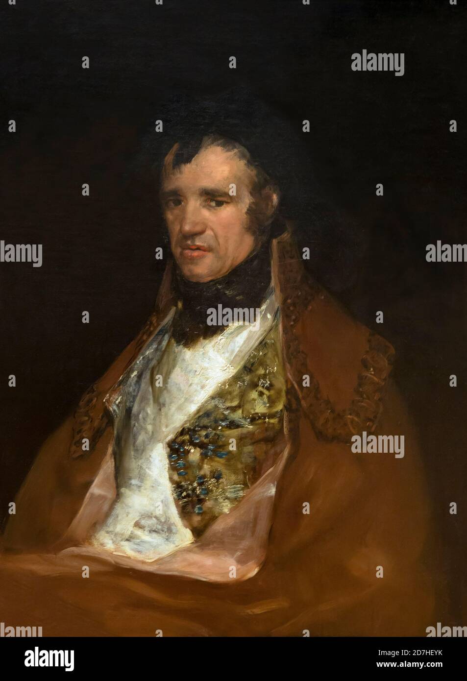 Portrait of Pedro Mocarte, a Singer of the Cathedral of Toledo, Francisco Goya, circa 1805-1806, Metropolitan Museum of Art, Manhattan, New York City, Stock Photo