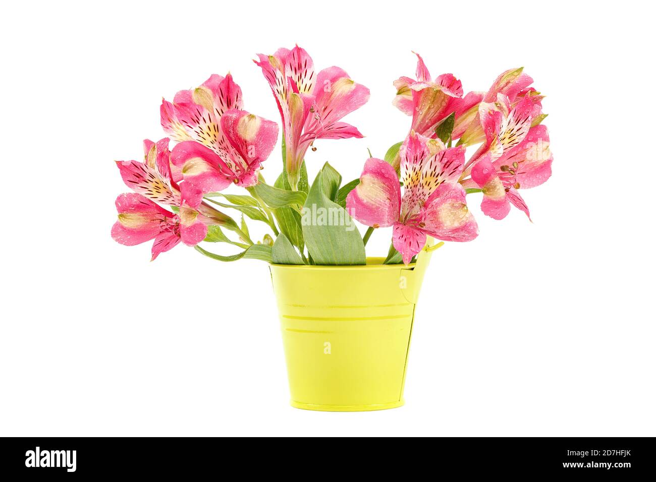 Spa composition lily flowers hi-res stock photography and images - Alamy