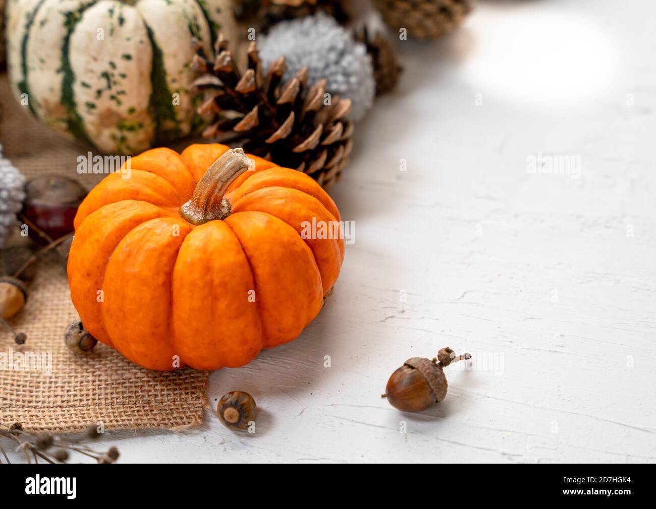 Spread of pumpkins and pinecones with space for your text - autumn ...