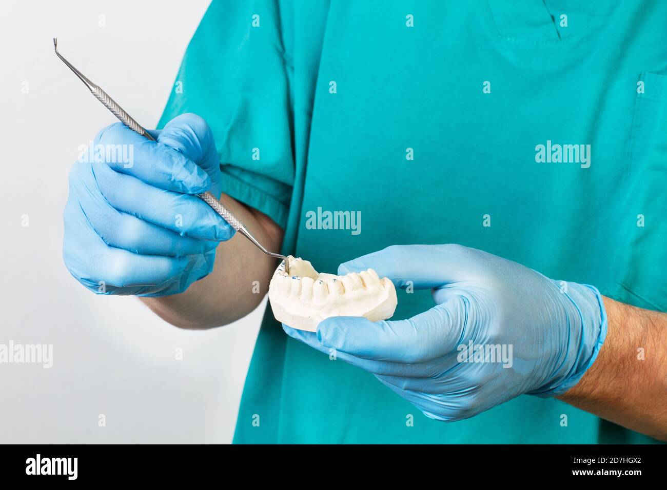 Dentist with a cast deture in his hands in a close up view Stock Photo