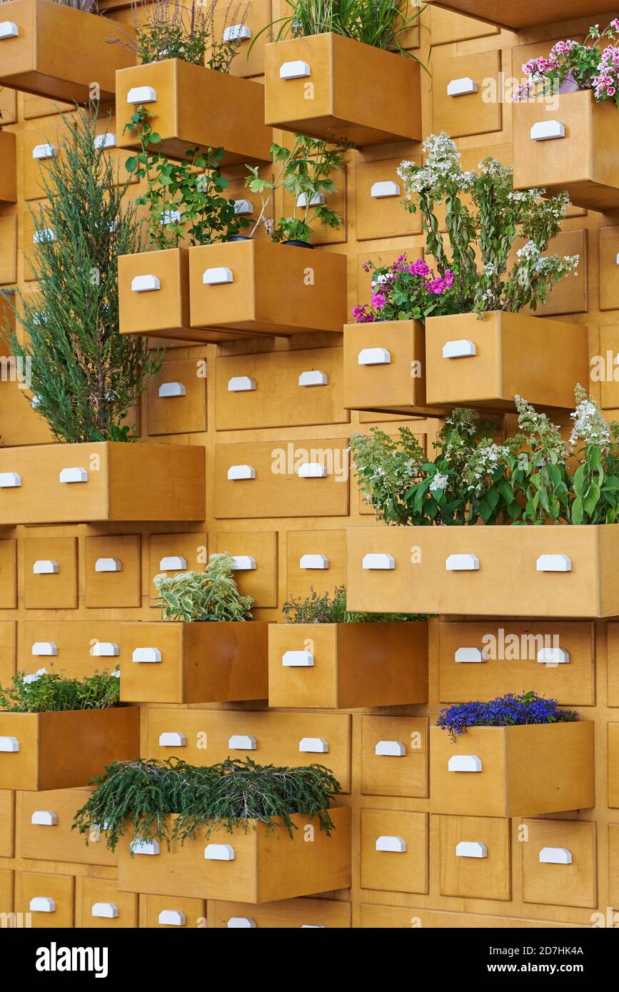 Garden decor and vertical flower bed wall of boxes with outdoor plants Stock Photo