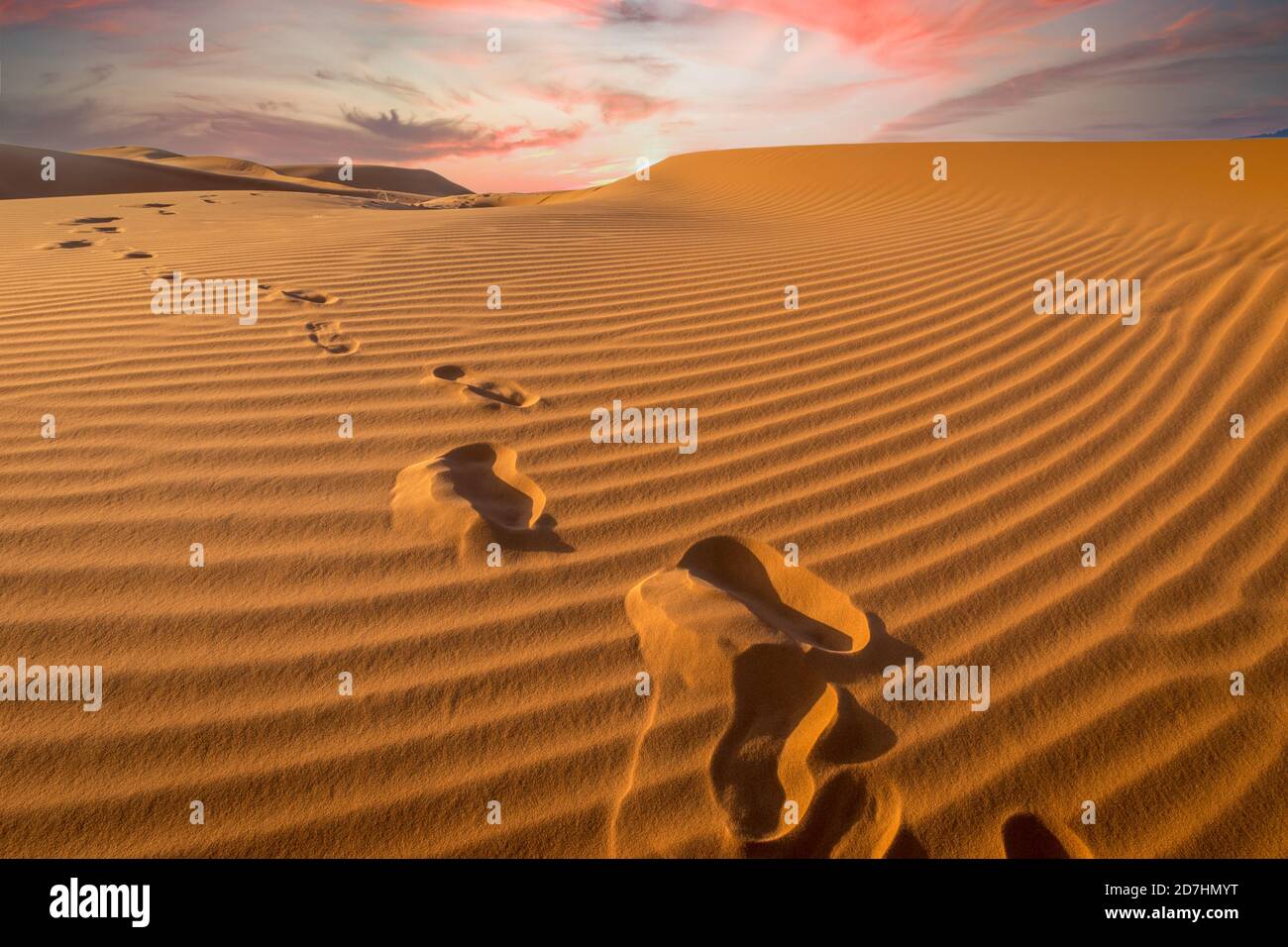 Sunset over footprints in the sand, Sahara - Erg Chebbi, Morocco Stock Photo