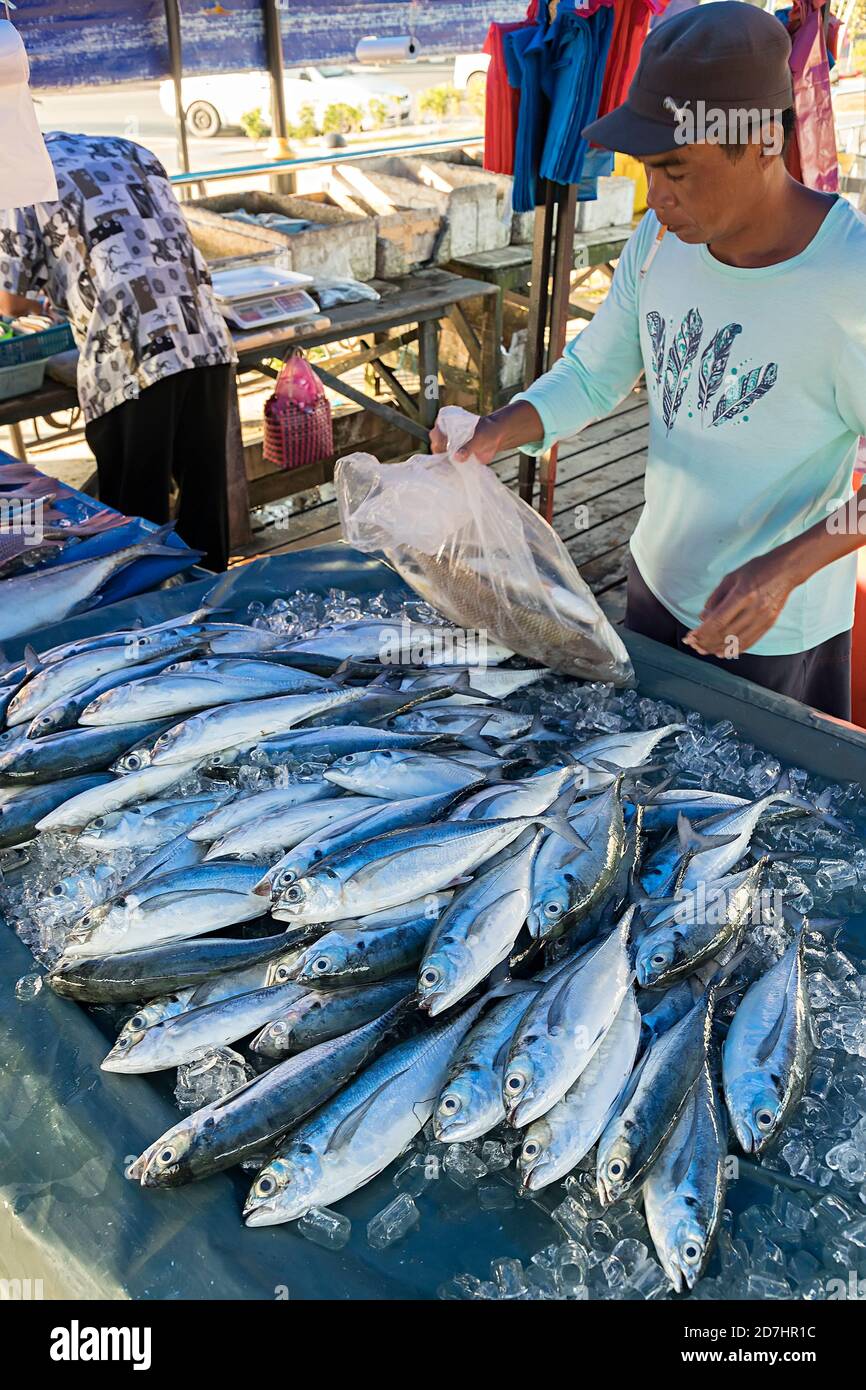 Fresh fish on sale on market stall, Miri, Malaysia Stock Photo