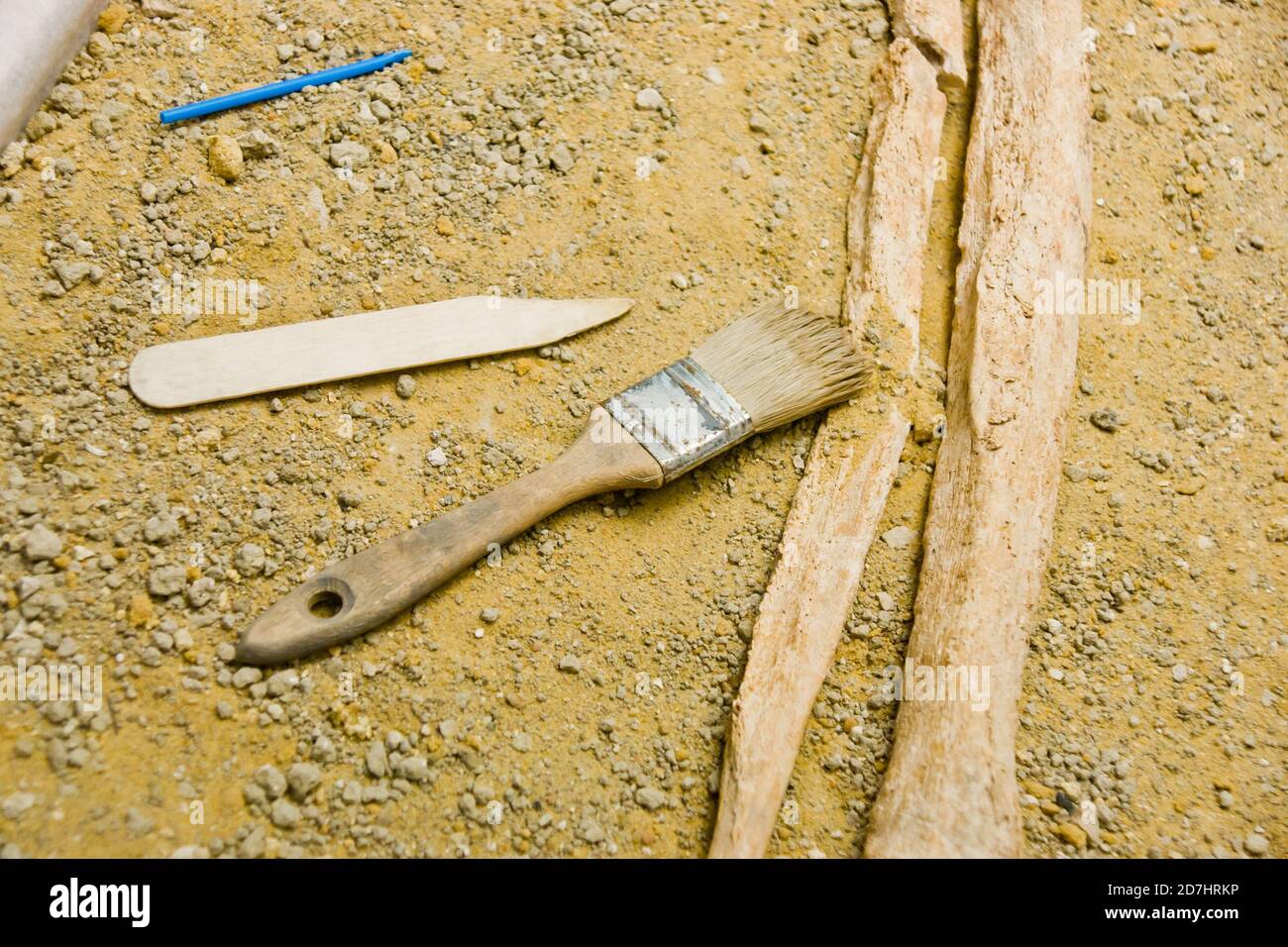 Archaeologist brush hires stock photography and images Alamy