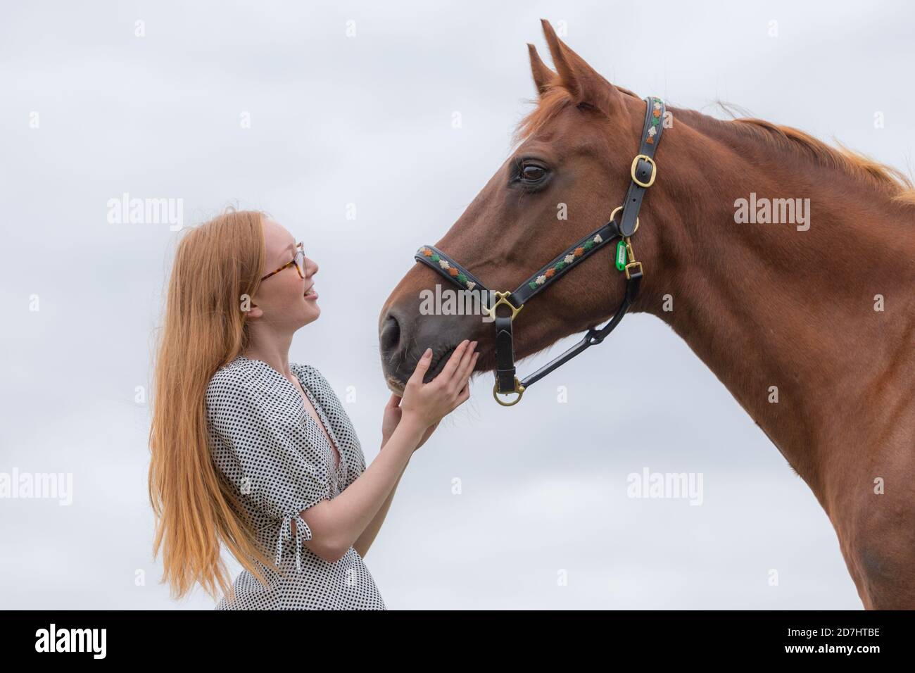 Young girl with her horse Stock Photo