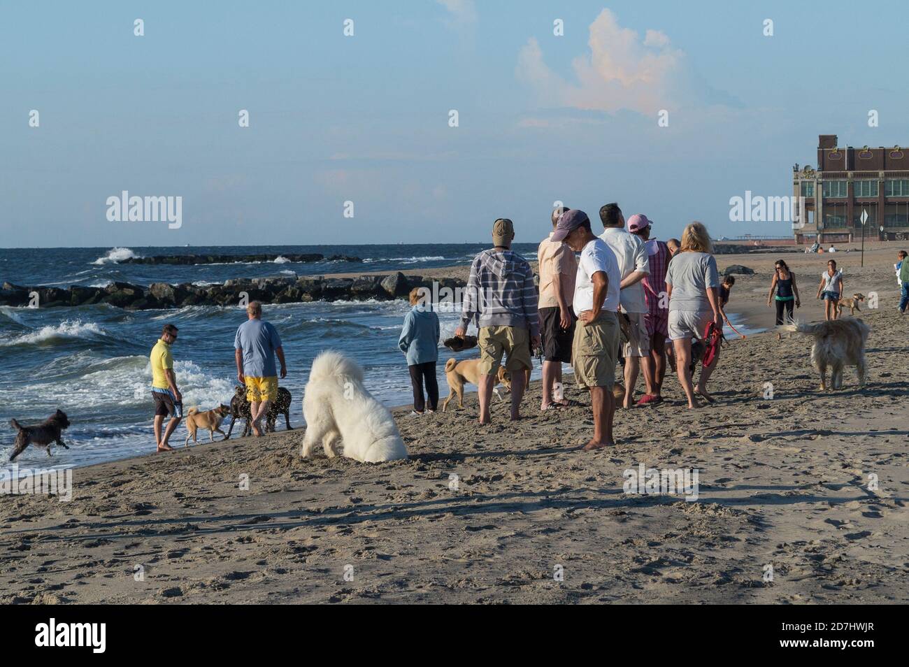 asbury park beach admite perros