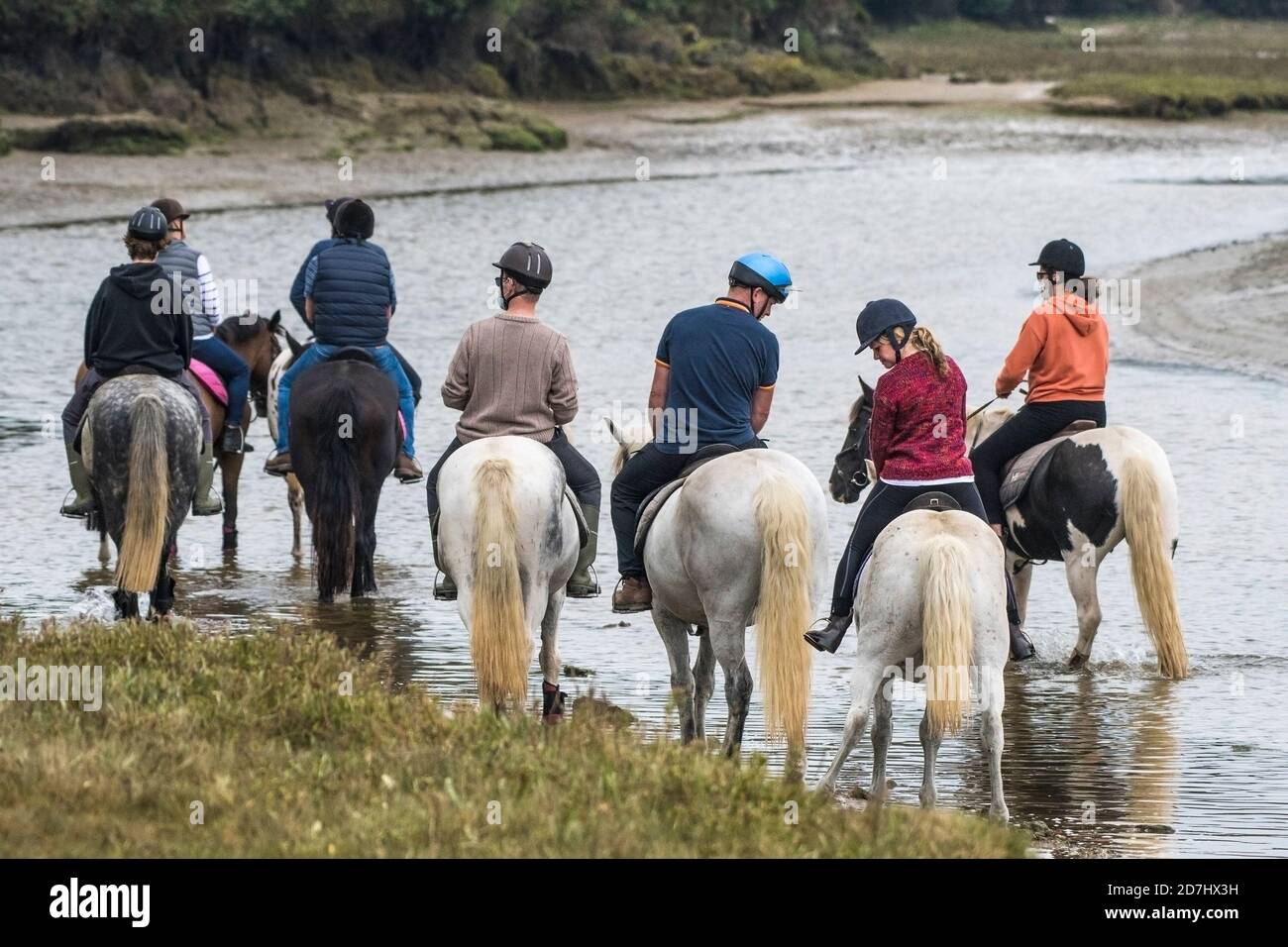 Group of horse riders hires stock photography and images Alamy