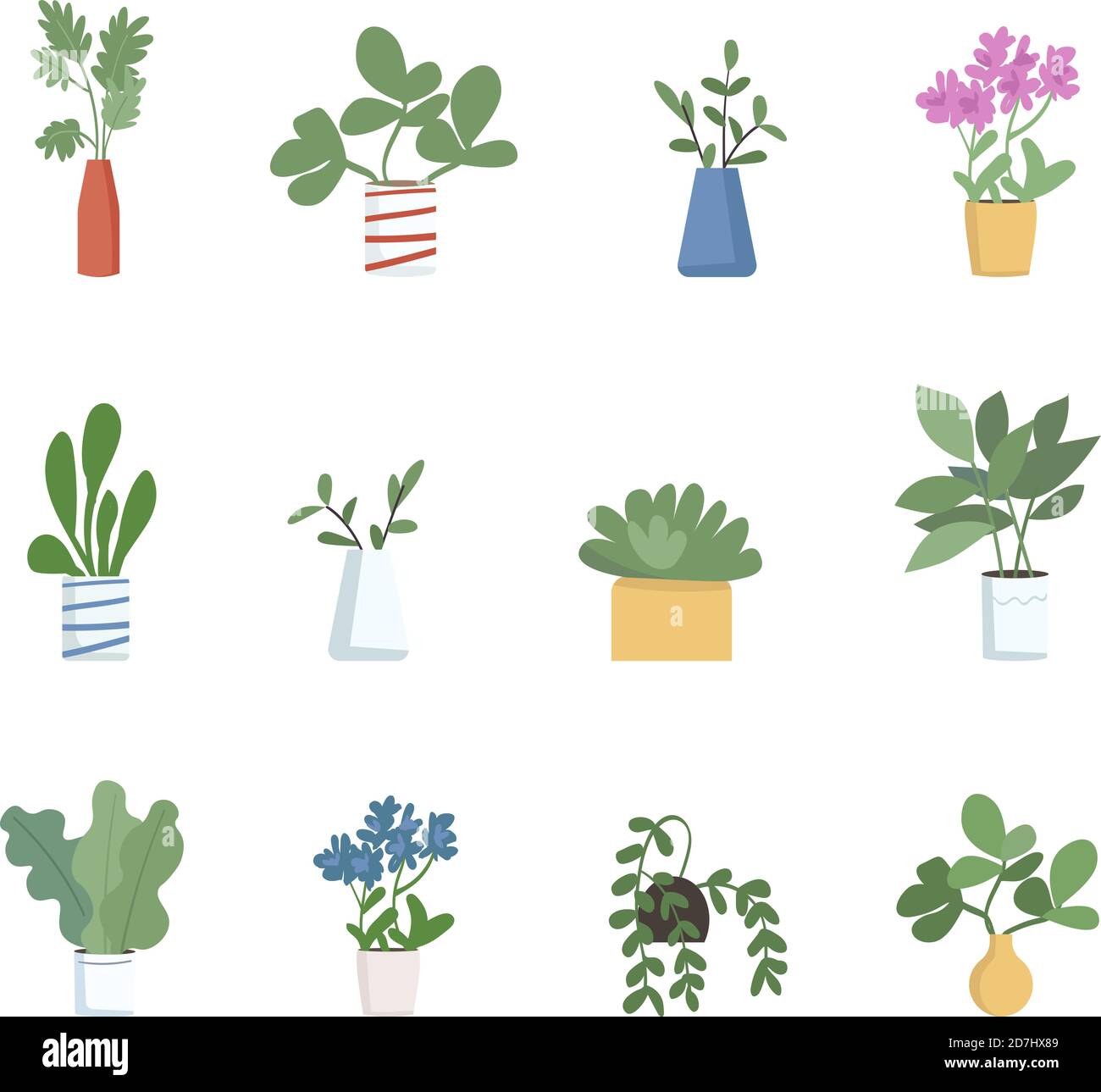 Houseplants flat color vector objects set Stock Vector