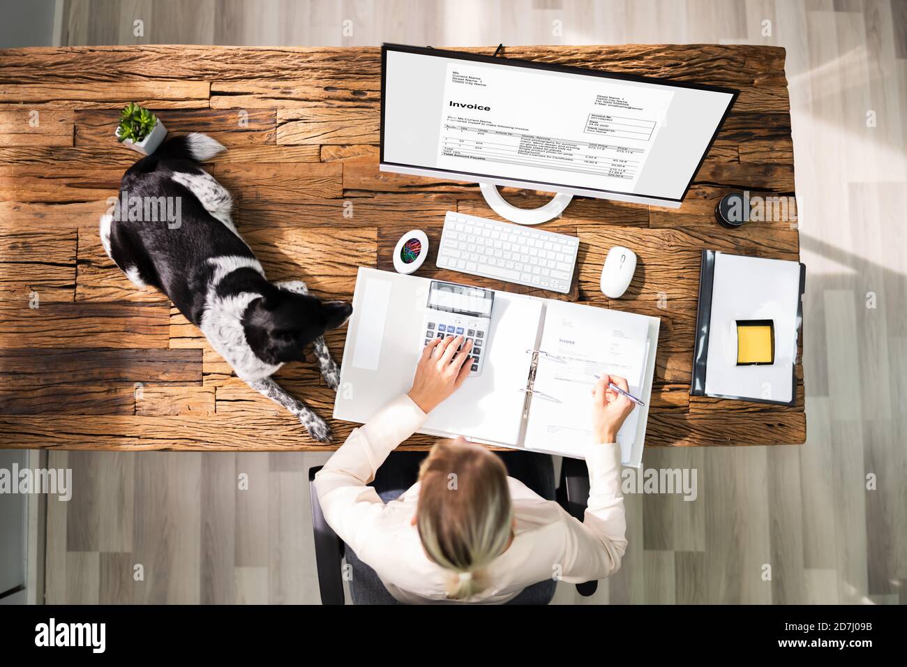 Accountant Using E Invoice Professional Tax Software Stock Photo - Alamy