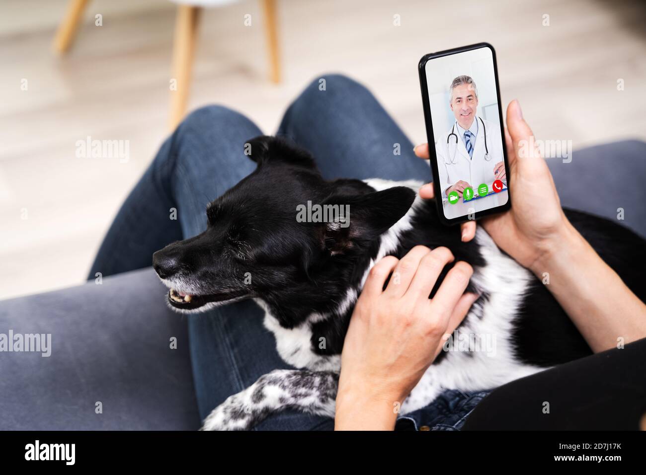 Web Video Conference Call With Doctor On Smartphone Stock Photo
