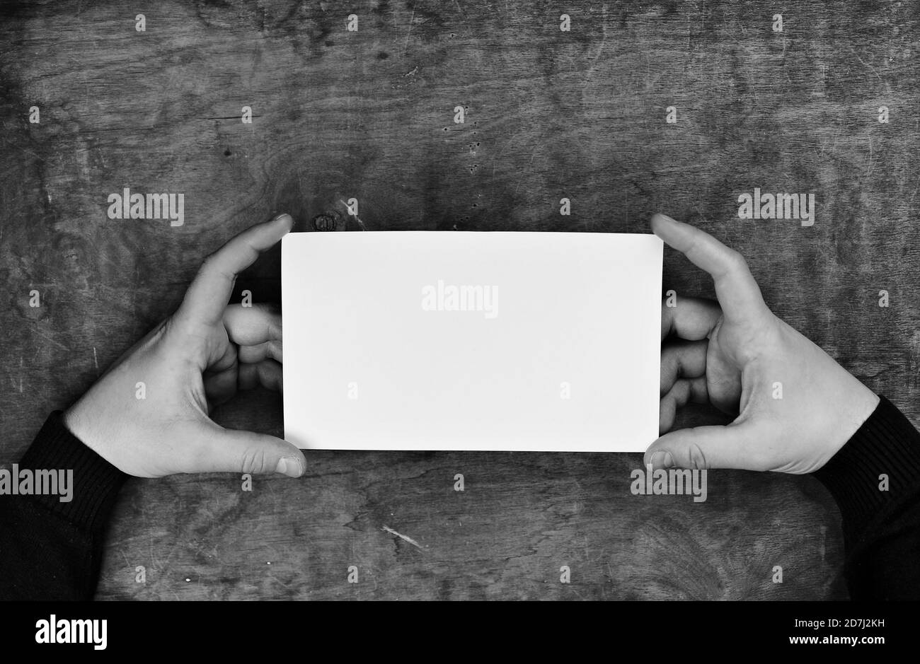 monochrome photo male hands holding a white blank sheet of paper Stock ...