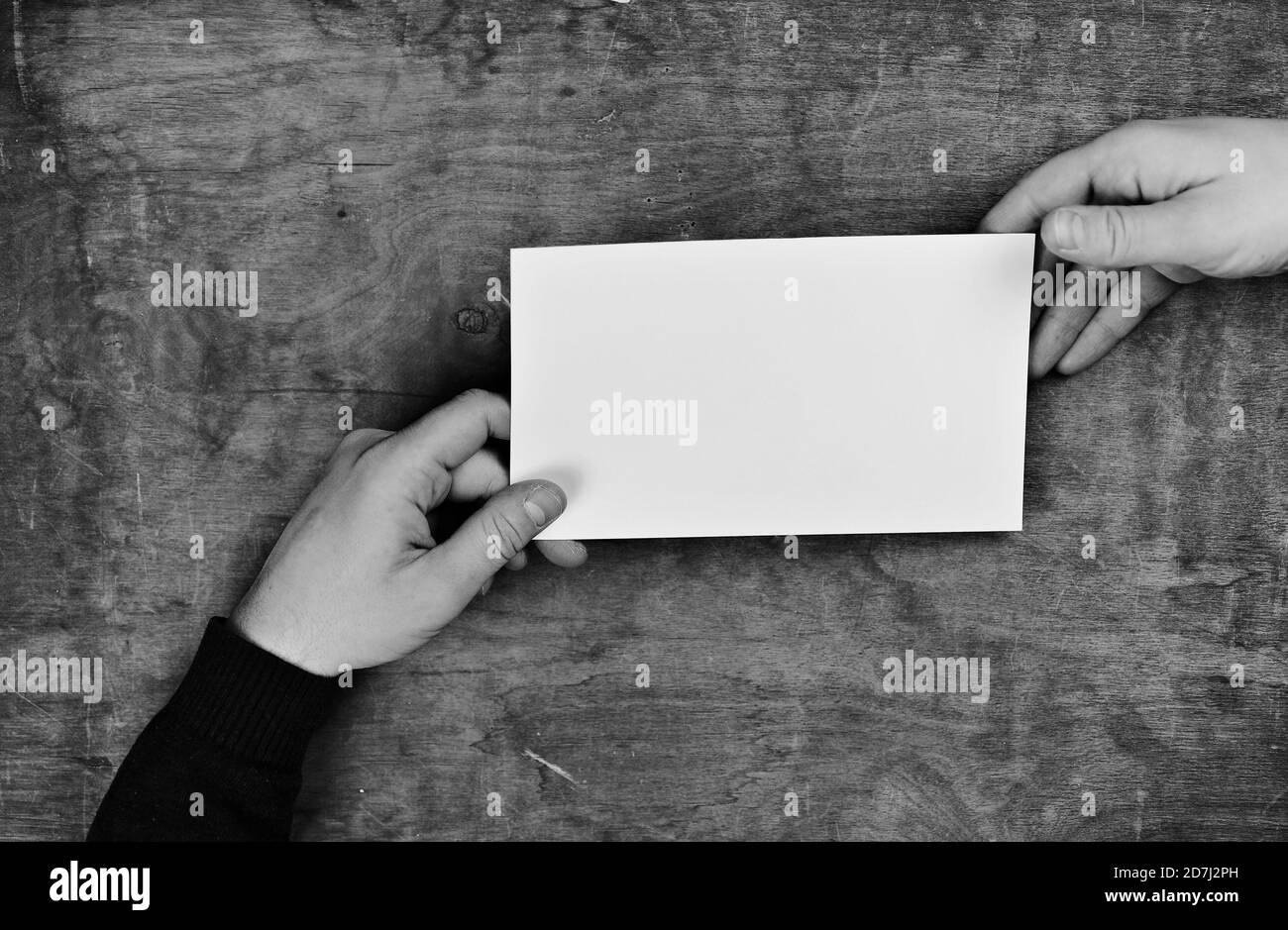monochrome photo male hands holding a white blank sheet of paper Stock ...