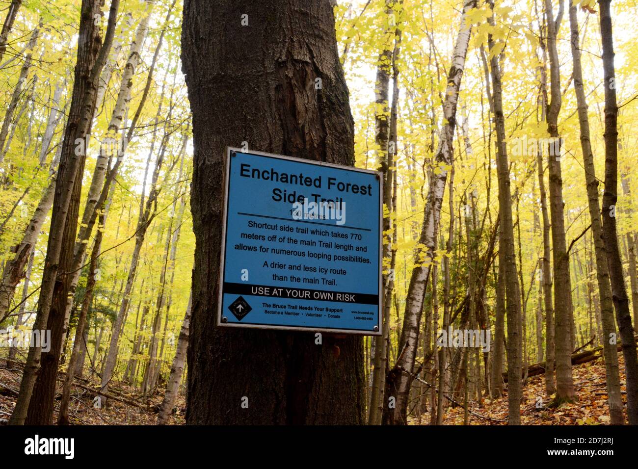 A sign at a trailhead and access point to the Bruce Trail hiking path