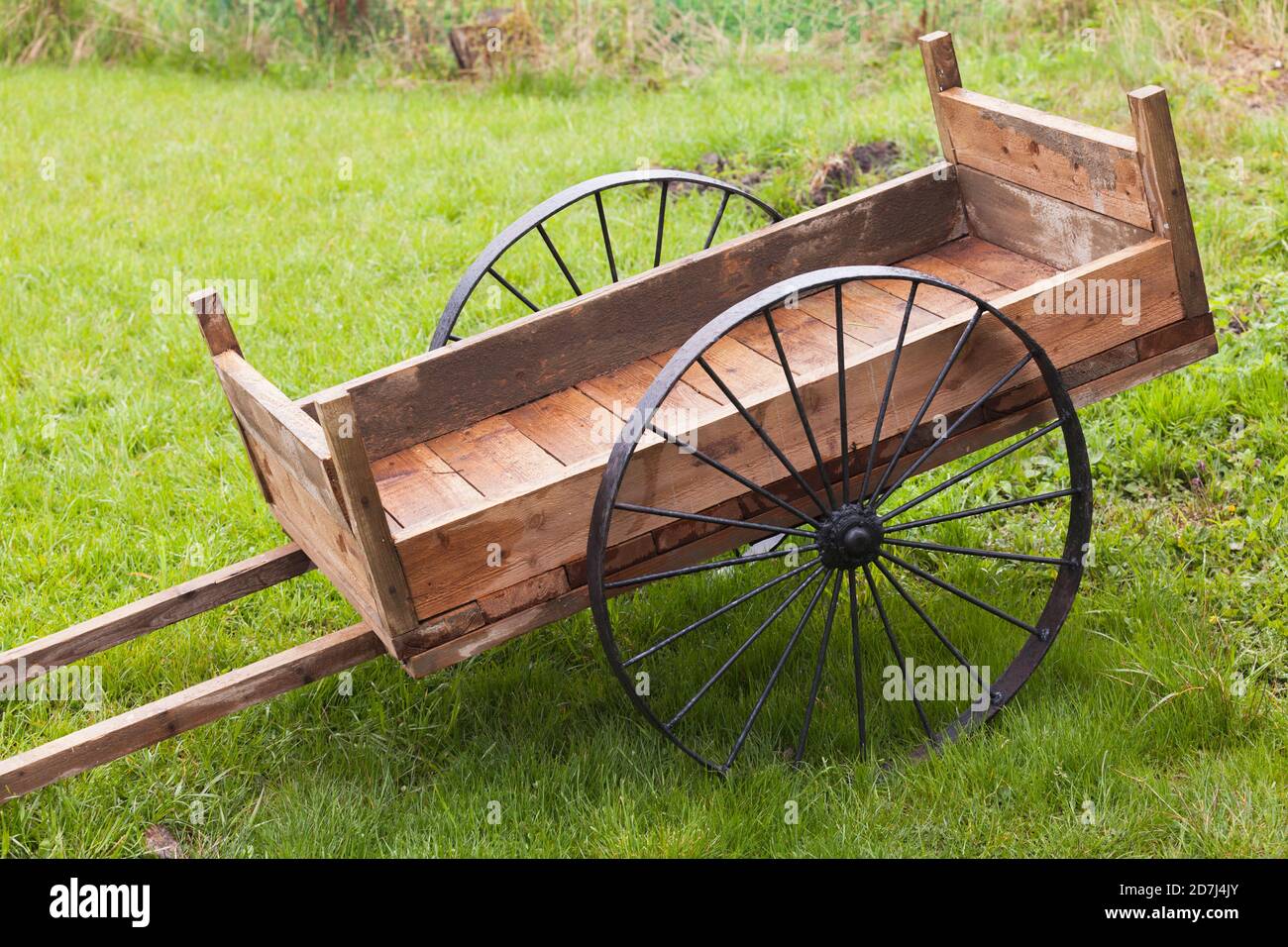 Empty vintage wooden cart with black metal wheels stands on green grass at summer day Stock Photo