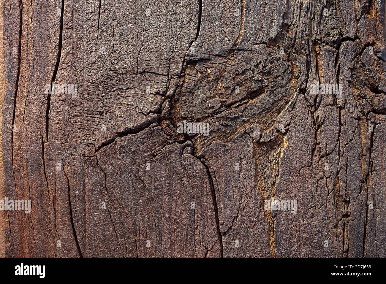 Teak wood texture with cracks and knots Stock Photo Alamy