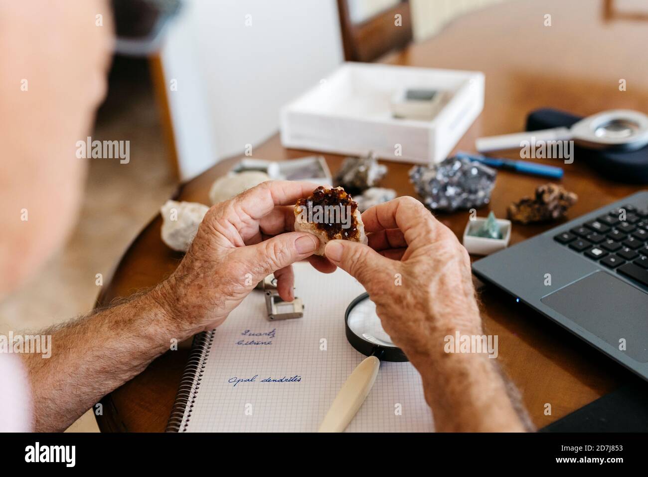 Elderly man doing research on fossil and mineral at home Stock Photo
