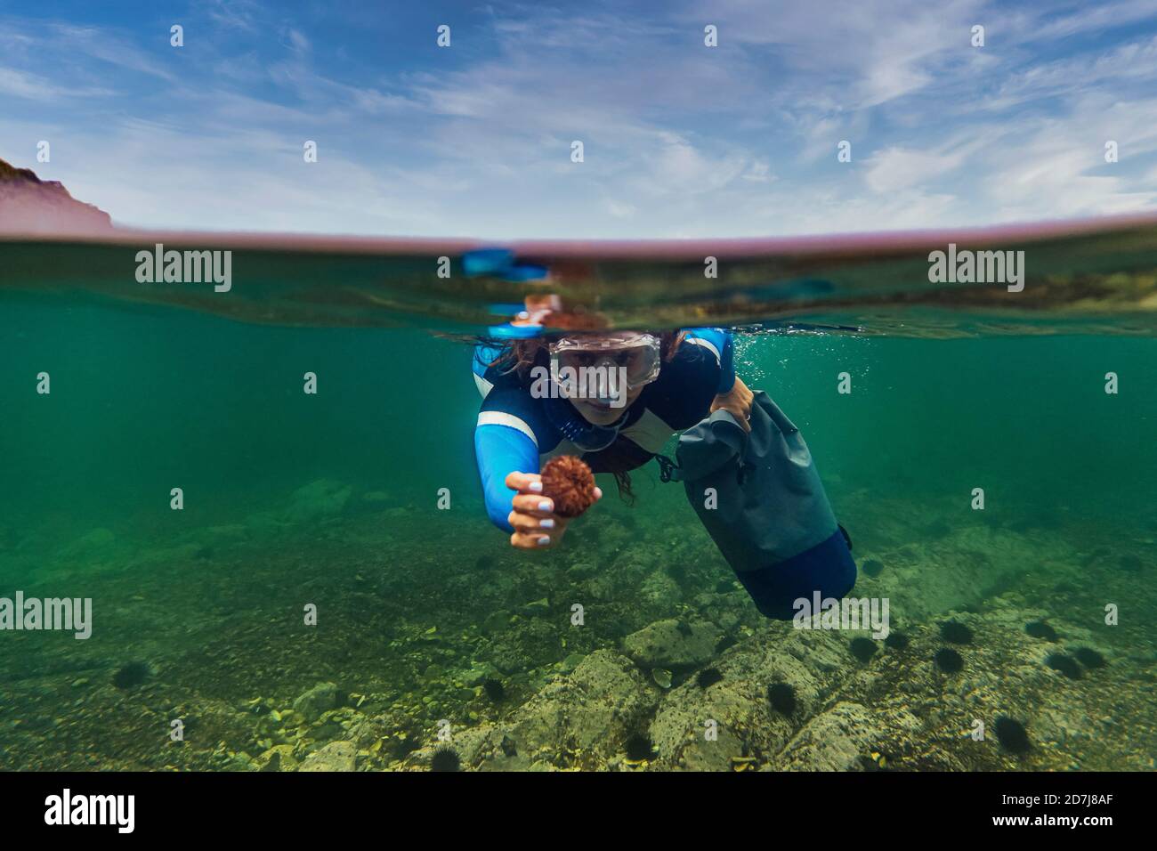Woman wearing diving suit and goggles showing sea urchin while diving underwater Stock Photo