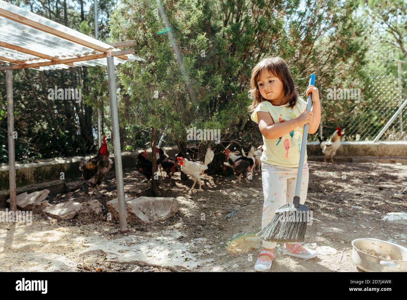 Girl sweeping chicken farm with broom Stock Photo