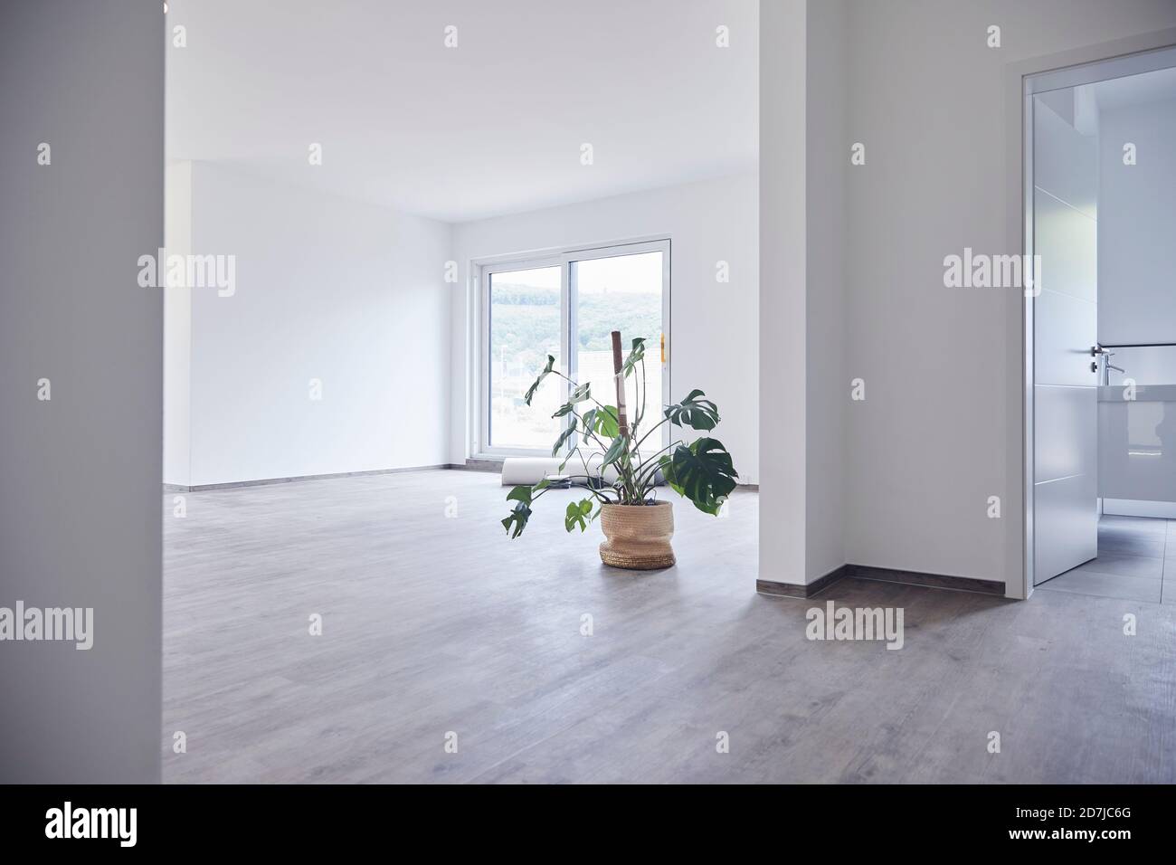 Interior of modern domestic room Stock Photo