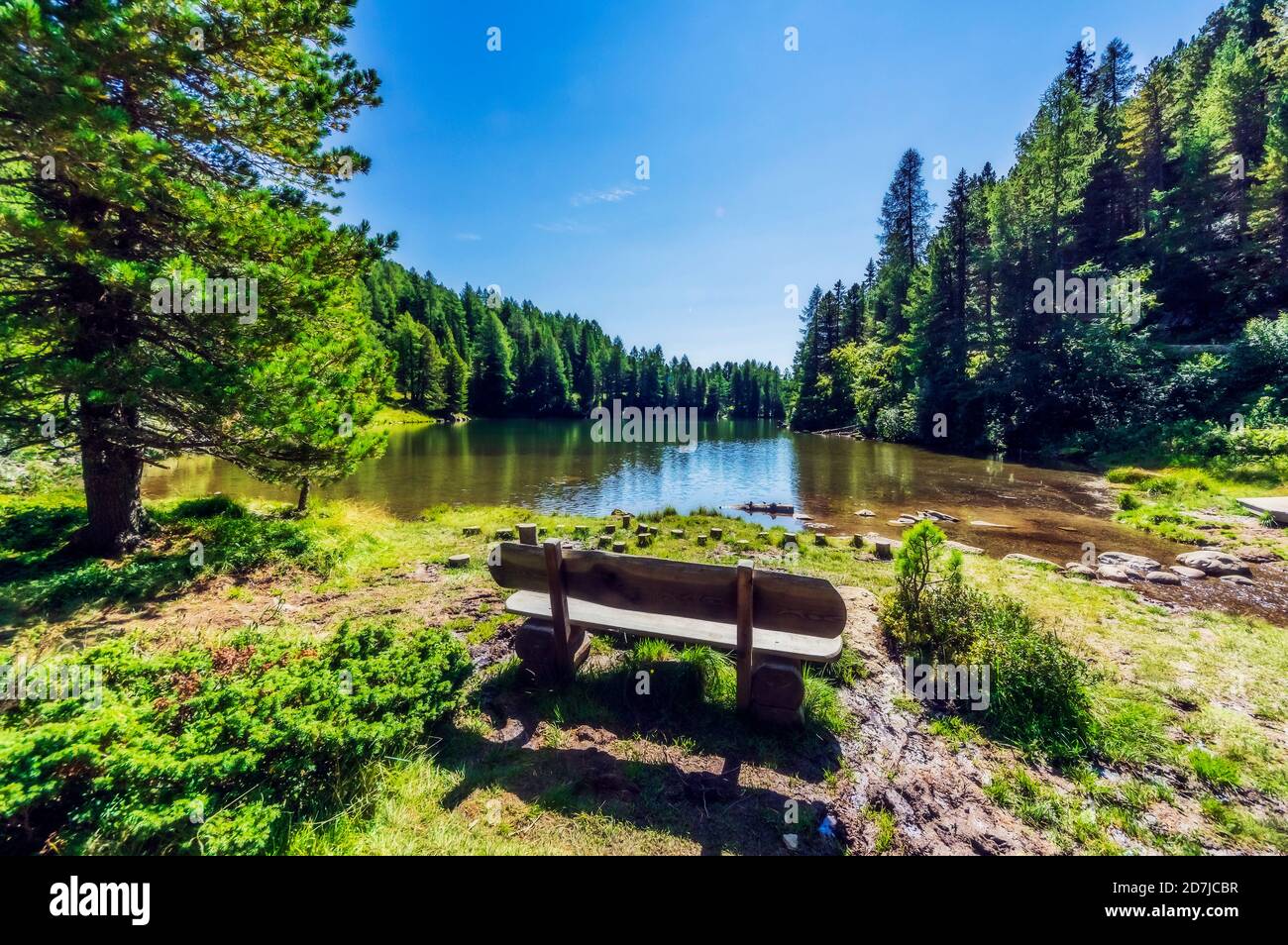 Bench at lakeshore in forest at Turracher Hoehe, Gurktal Alps, Austria Stock Photo
