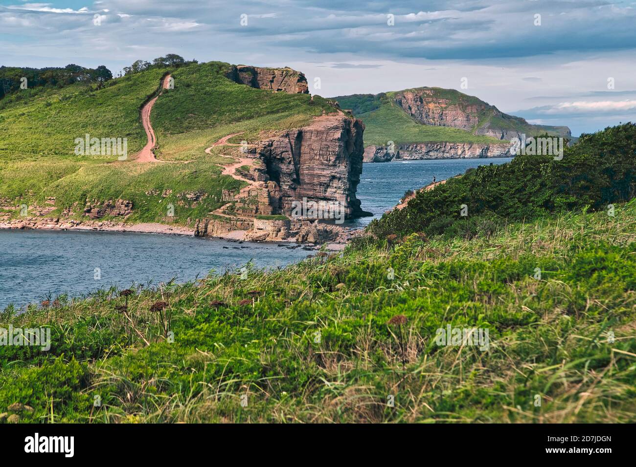 Surface level of grass on russky island at Vladivostok, Russia Stock Photo