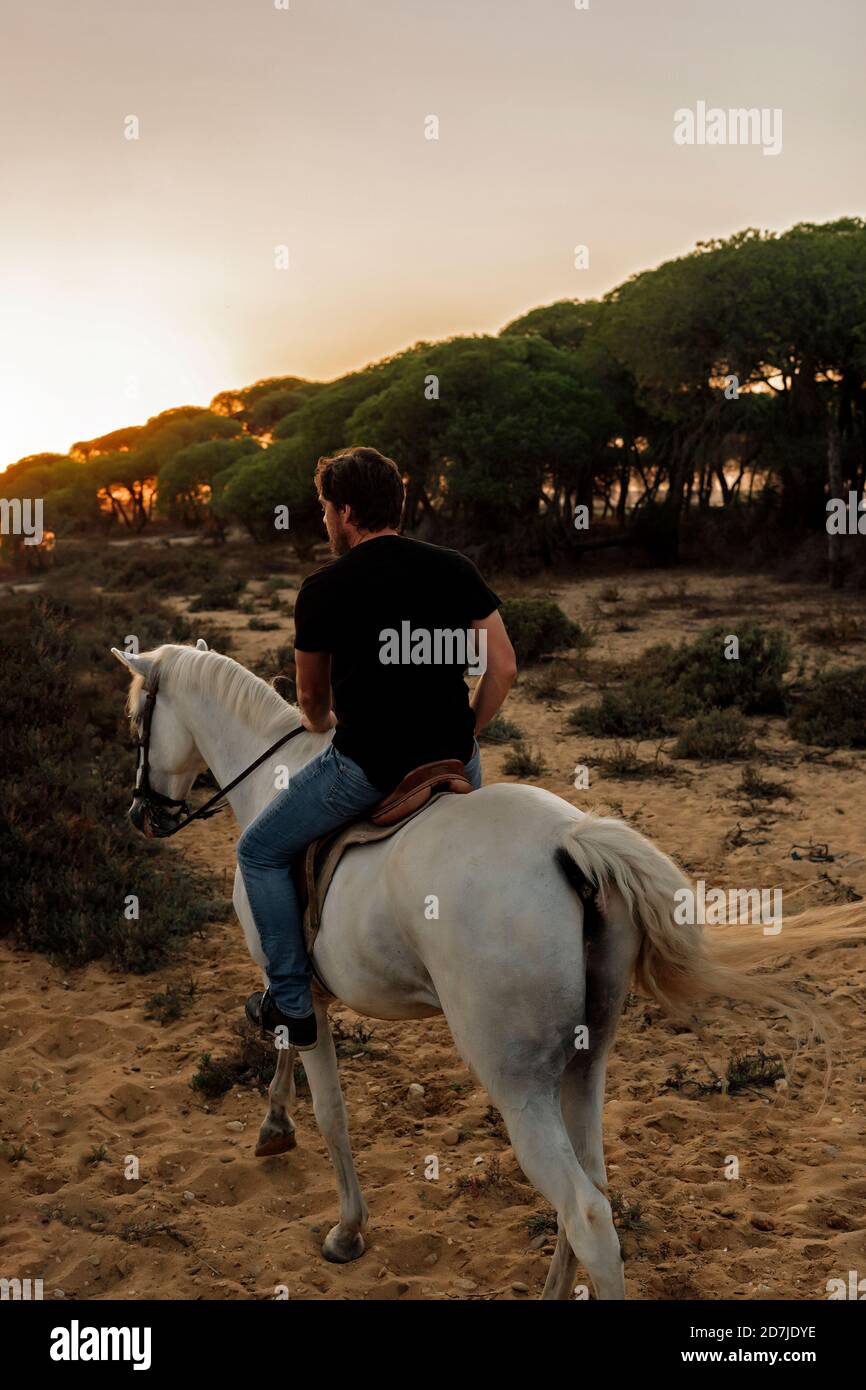 Man riding horse hi-res stock photography and images - Alamy