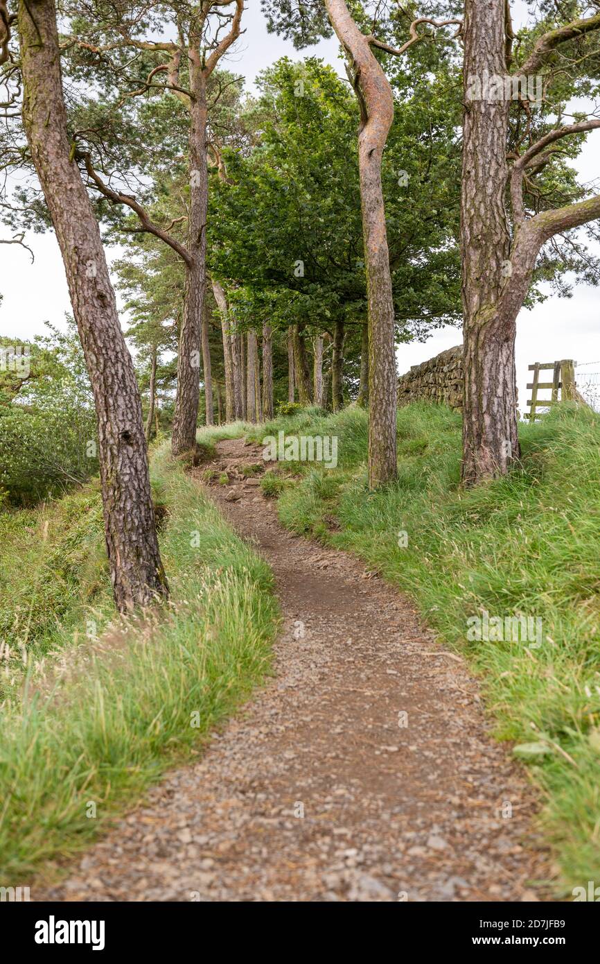 Footpath countryside hi-res stock photography and images - Alamy