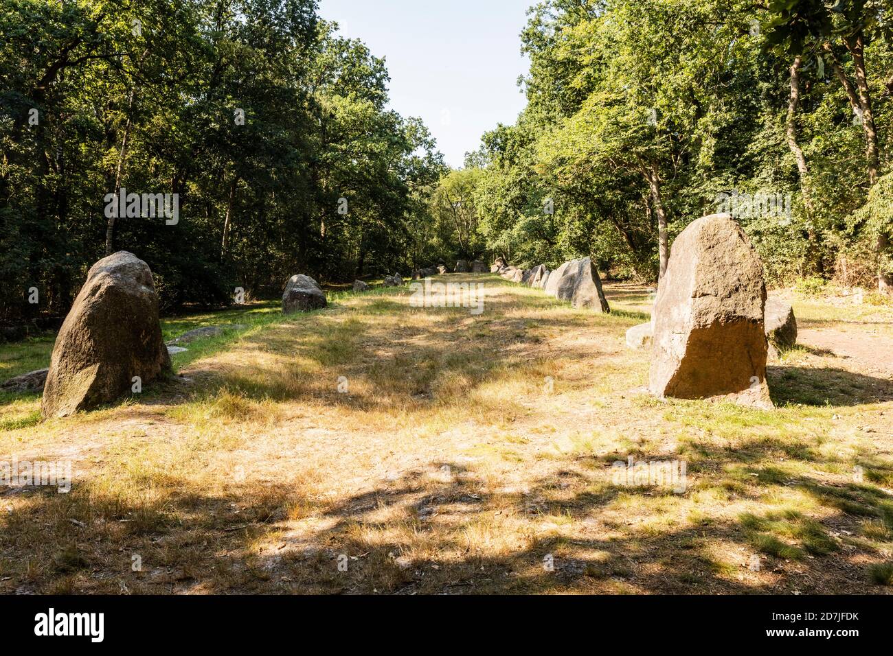 Germany, Lower Saxony, Wildeshausen, Visbeker Braut burial mound Stock Photo