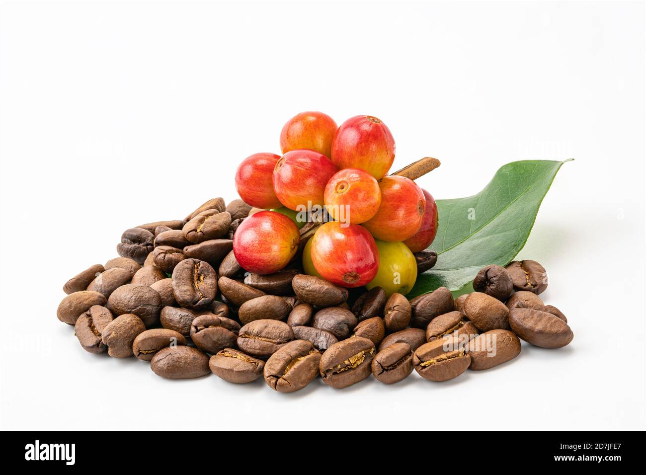 Bunch of coffee fruit with leaf and a pile of coffee beans on white
