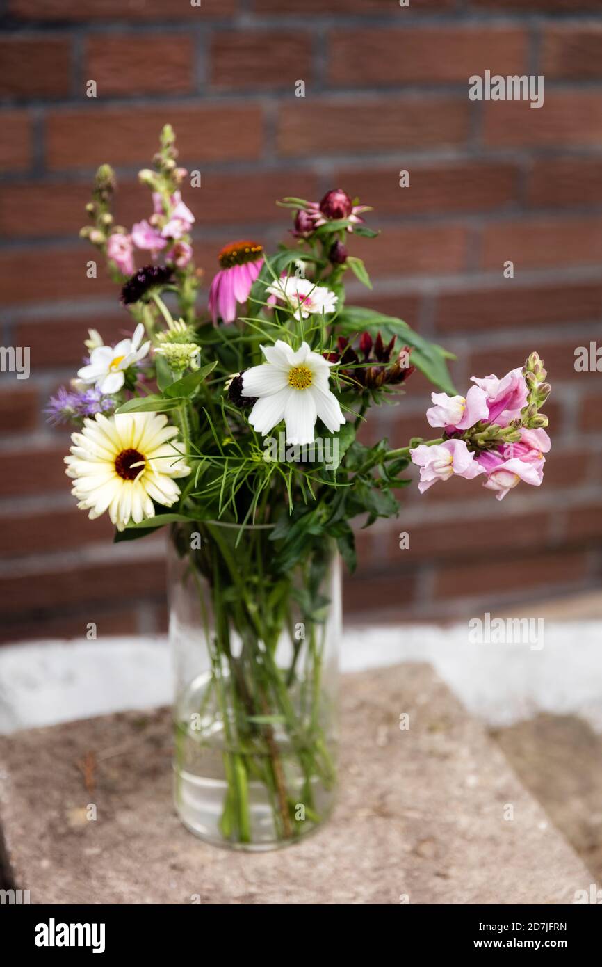 Vase with various summer flowers Stock Photo - Alamy