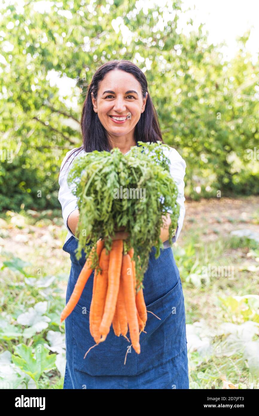 Carrot Grown in a Way that Looks Like a Woman Legs Stock Photo - Image of  leaf, freshness: 210397280