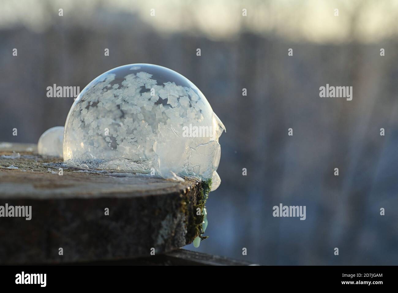 Soap bubbles freeze in the cold. Winter soapy water freezes in the air Stock Photo Alamy