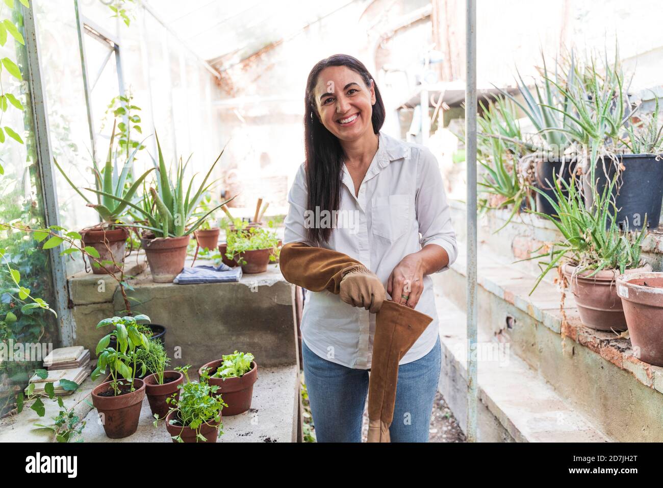 Smiling mature woman wearing gardening glove while standing in garden shed Stock Photo