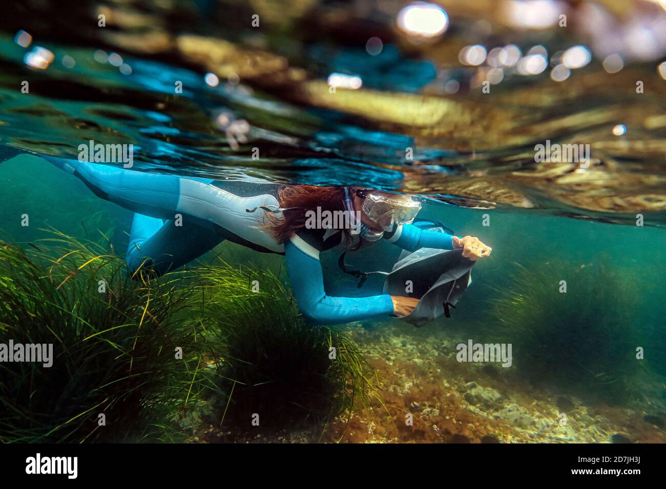 Mid adult woman collecting seafood in bag while diving into sea Stock Photo