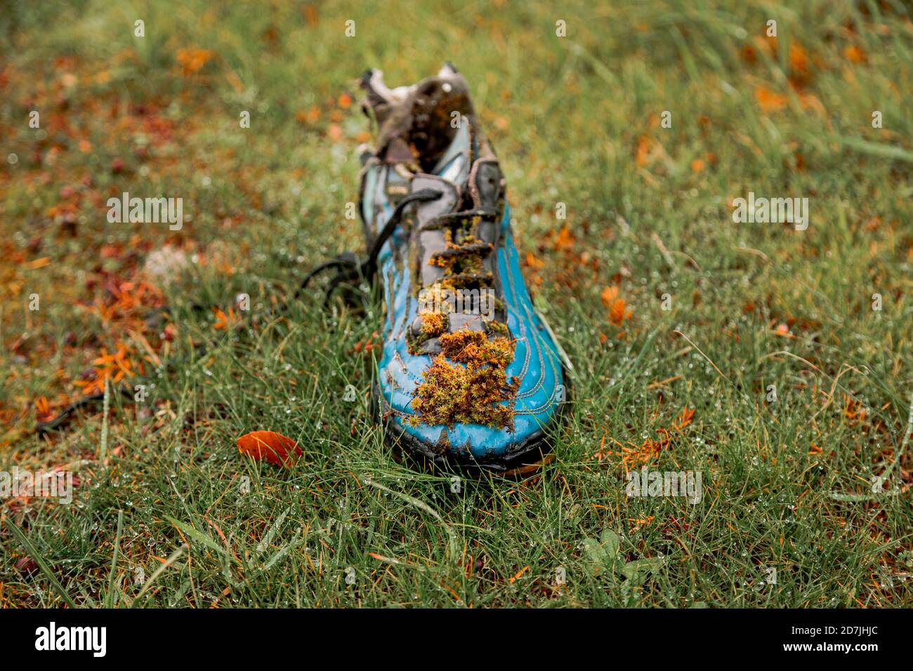 Old shoe deteriorating in grass Stock Photo