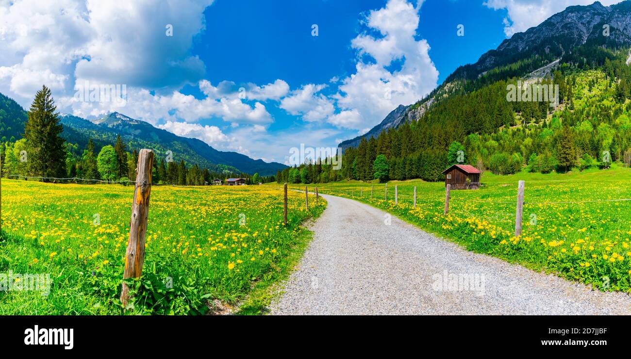 Countryside road stretching along alpine meadows in Stillachtal Stock Photo