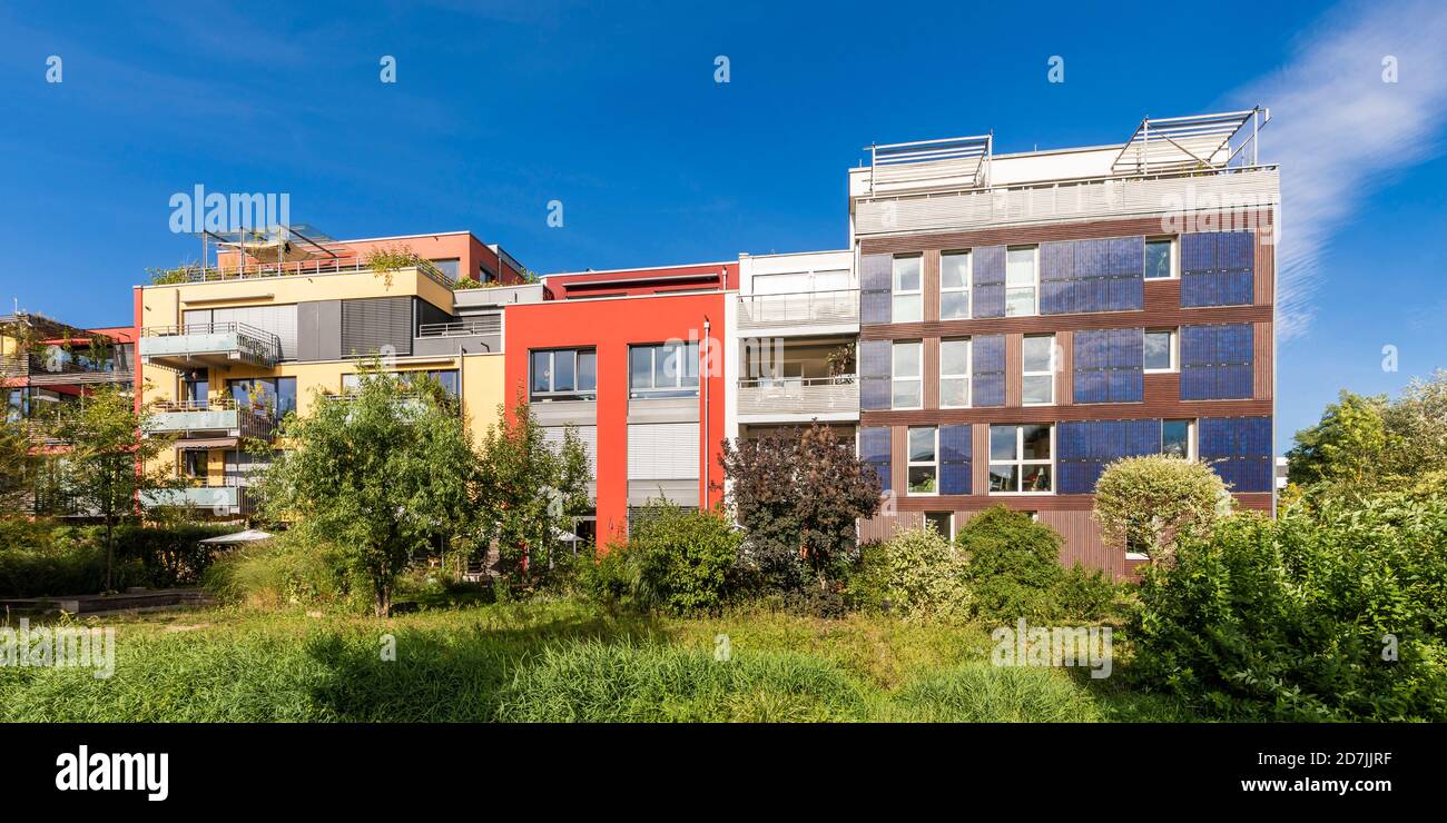 Everything You Need to Know About Efficiency Apartments