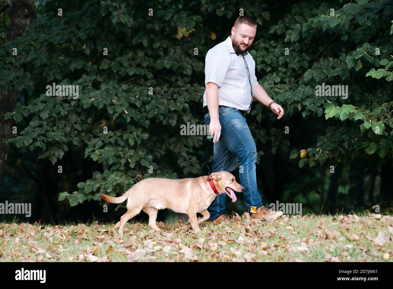 Man spending leisure time while walking with dog in park Stock Photo