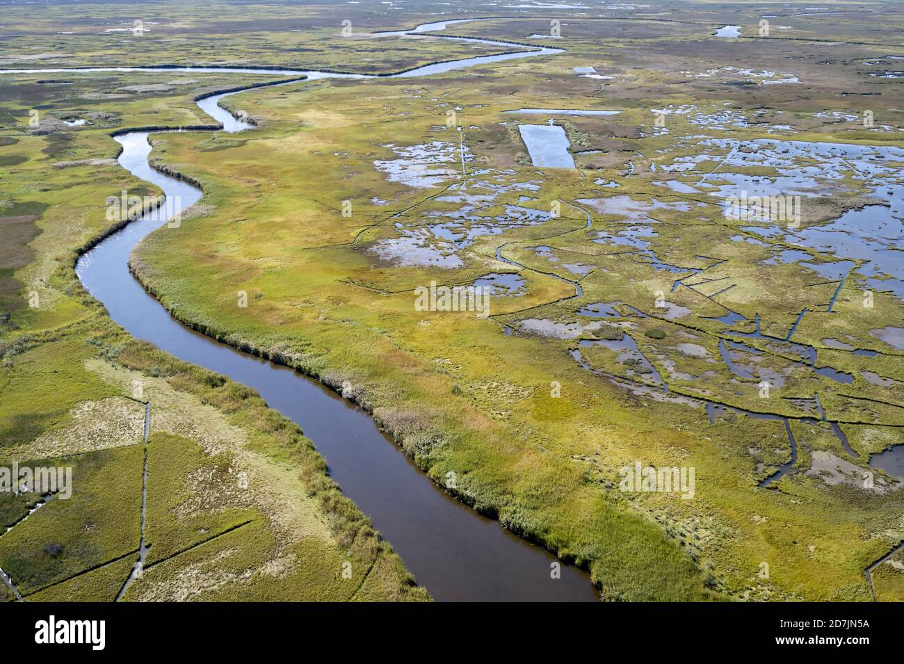 USA, Maryland, Drone view of marshes along Nanticoke River on Eastern Shore Stock Photo Alamy
