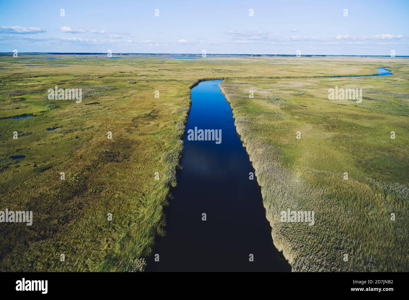 USA, Maryland, Drone view of marsh along Nanticoke River on Eastern