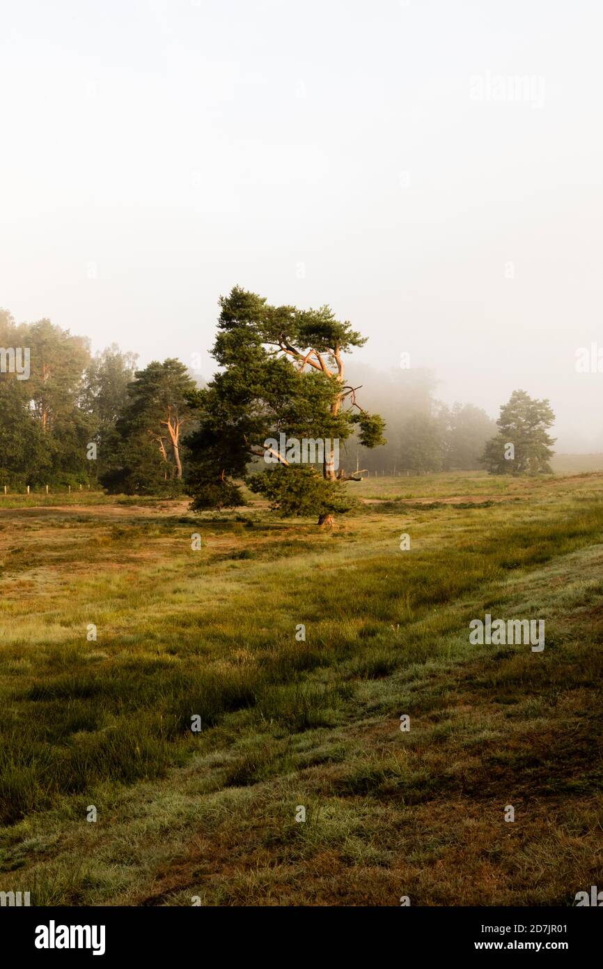 Foggy landscape photography hi-res stock photography and images - Alamy
