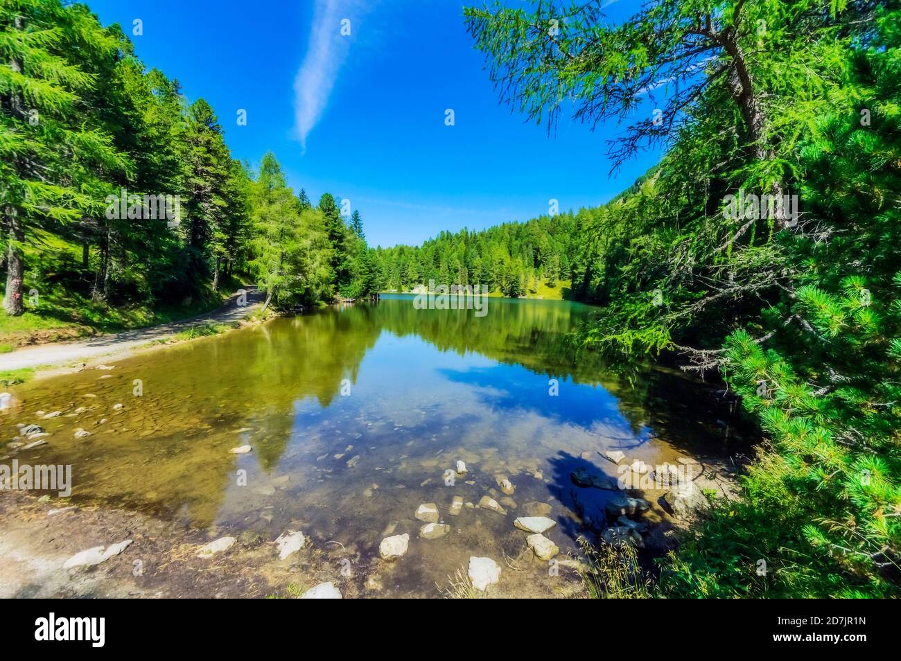 Lake covered with tree in forest at Turracher Hoehe, Gurktal Alps, Austria Stock Photo