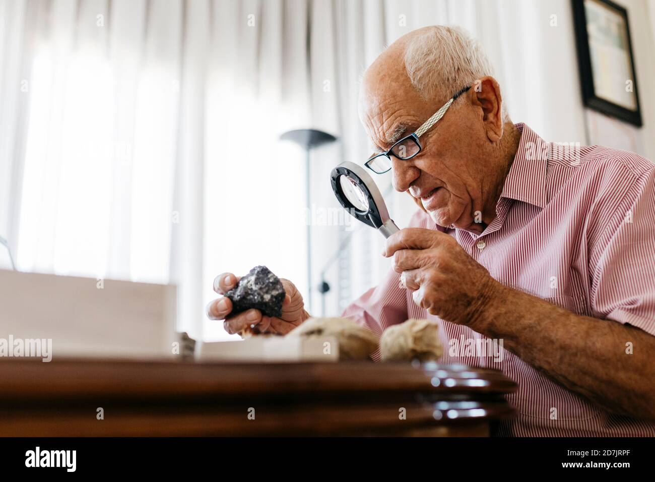 Retired senior male using magnifying glass for research of fossil and mineral at home Stock Photo