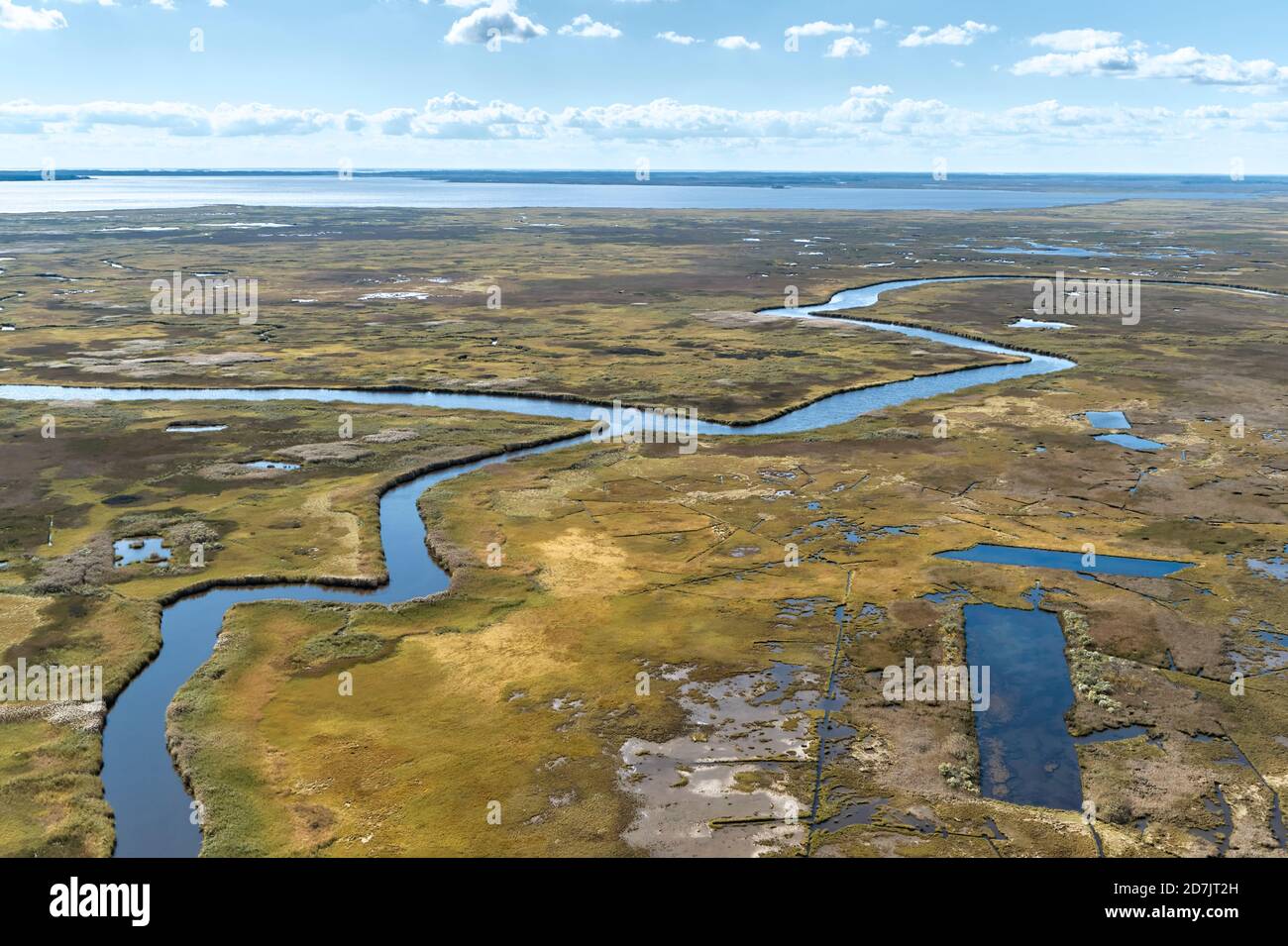 USA, Maryland, Drone view of marshes along Nanticoke River on Eastern