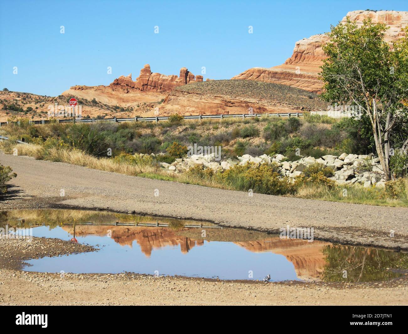 A rain pool from the previous night’s downpour, reflecting the sandstone Rock formations in Castle Valley, in Utah, USA Stock Photo